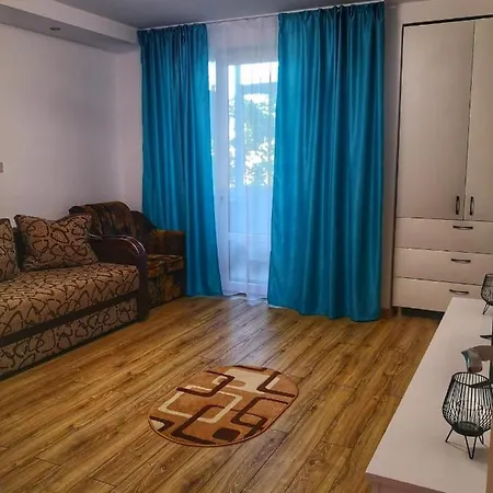 Apartament Andi *