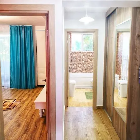 Apartament Andi *